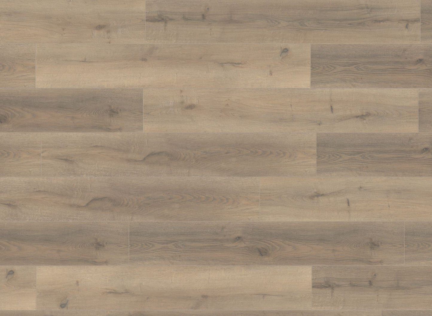 Greige Oak 10 mm Laminate Flooring Sample