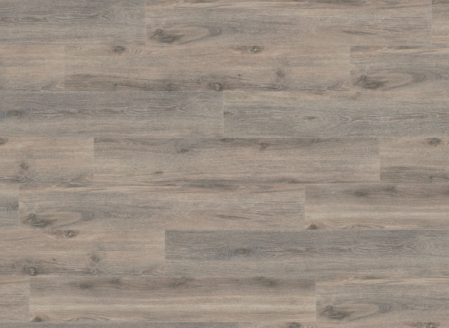 Tidal Oak Laminate 10 mm - Built in Underlay Sample