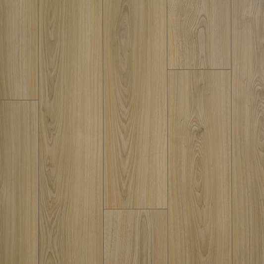Peking - 8 mm Laminate Flooring  Sample