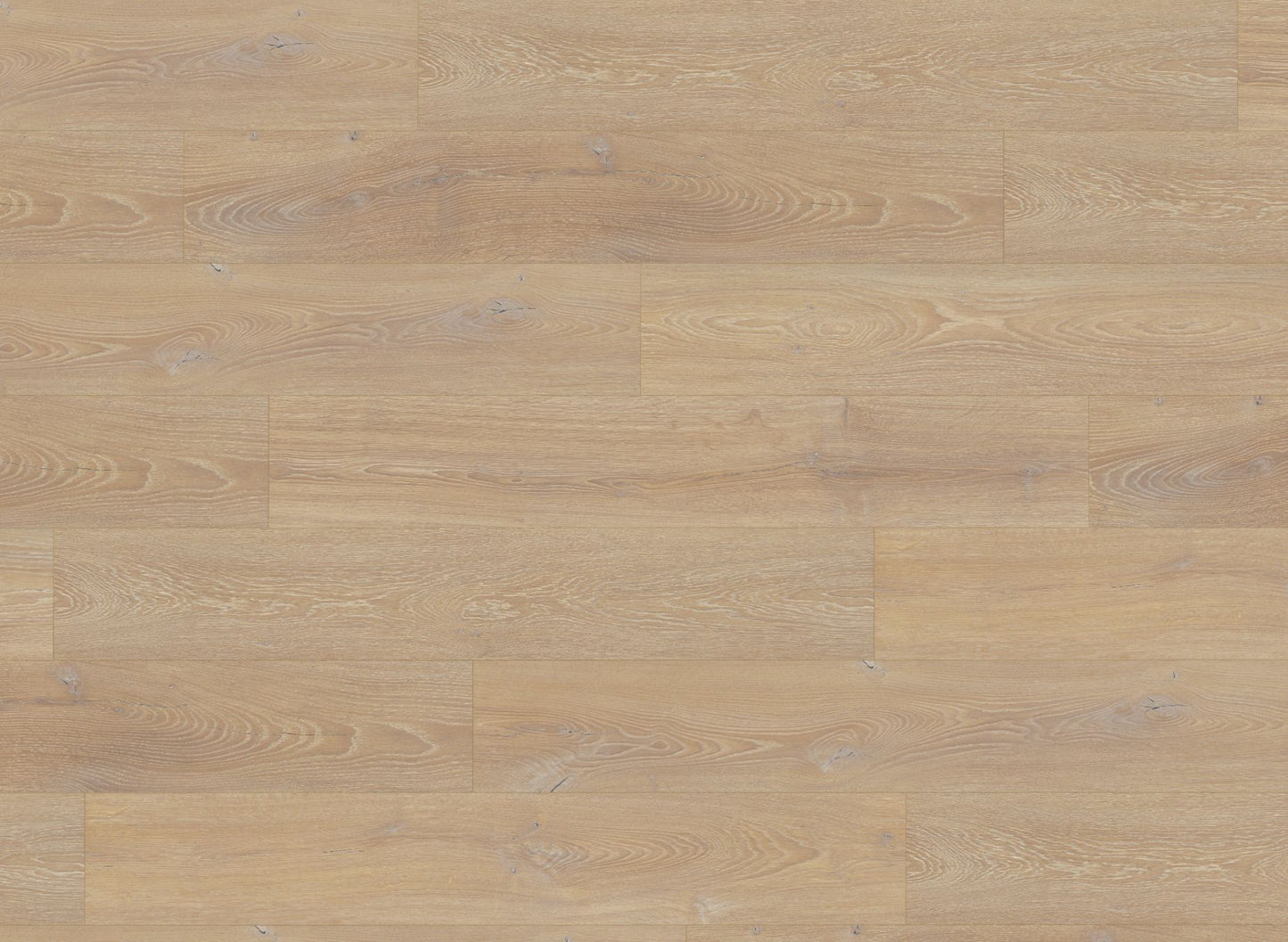 Desert Oak Laminate with  Premium Built in Underlay - 10 mm  Sample