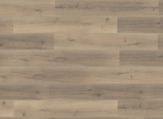 Greige Oak 10 mm Laminate Flooring Sample